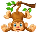 NÁLEPKA NA OKENNÝ SKLENENÝ NÁBYTOK ZRKADLO MONKEY MONKEY