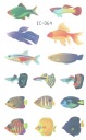 Umývateľné tetovanie pre deti FISH EC064