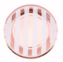 ROSE GOLD STRIPES papierové taniere 18cm párty