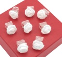VLASOVÉ ŽABKY, BIELE RUŽICE, 8 KS, 1 cm