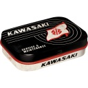 Mintbox Kawasaki Tank Logo Mint Box