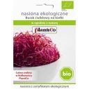 Bio semená klíčkov - Cvikla 20g