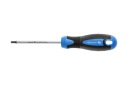 Skrutkovač Torx T20, 100 mm, oceľ S2 Hogert