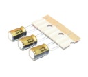 AUDIOFIL NICHICON FG Fine Gold 220uF/10V - 3 kusy (#659)