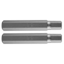 HEX hrot 12 x 75 mm, S2 x 2 ks, NEO 10-988