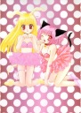 Anime Manga Tokyo Mew Mew Plagát TMM_012 A3