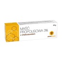 PROPOLISOVÁ MASŤ 3% CHOLESTEROL 20G APIPOL FARMA