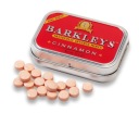 Barkley's Cinnamon Mini škoricové pastilky na dražé bez cukru plechovka 15g z USA