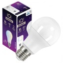 IQ-LED žiarovka Svetelný zdroj BASE E27 A60 11W-CW 6500K 1521lm