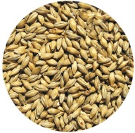 PILZ slad Viking Malt 1kg