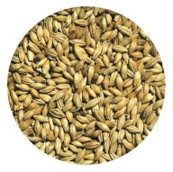 PALE ALE ZERO slad jačmenný Viking Malt 1kg