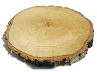 Plátky suchého dreva, brezové kotúče, 16-20 cm
