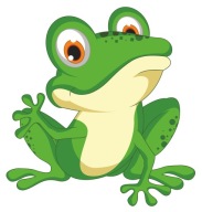 NÁLEPKA NA OKENNÝ NÁBYTOK ZRKADLOVÁ NÁSTENKA ŽABKA