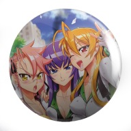 Anime Highschool of the Dead Pins VEĽKÝ VÝBER