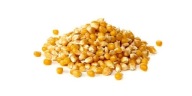 POPCORN POPCORN kukurica, zrno bez soli, 100g