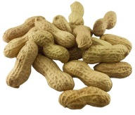 ARAŠIDY V ŠUPINE 500g Pražené HROZÍKY