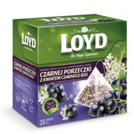 LOYD čaj Čierna ríbezľa s kvetom orgovánu