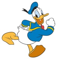 DONALD KAČIČKA NÁLEPKA NA OKNO ZRKADLOVÉ OKNO NÁBYTKU
