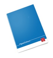 NOTEBOOK A4 42k rad PIGNA COLORS 0229886C