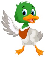 NÁLEPKA NA OKNO NÁBYTOK ZRKADLÁ KAČIČKA