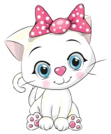 NÁLEPKA NA OKNO NÁBYTOK ZRKADLO KAT