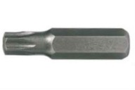 Hrot bitov PROLINE s hrotom TX 20 x 25 mm TORX