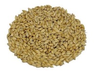 CARAPILS Weyerman slad 0,5 kg mletý