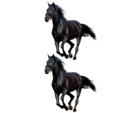 NÁLEPKA KONÍKA KONÍKY MUSTANG ČIERNY UV FILTER 2 KS.
