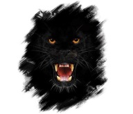 NÁLEPKA FOTOGRAFIE BLACK PANTHER PUMA SMALL UV