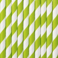 Z. JABŁUSZKO STRIPES papierové slamky na narodeniny
