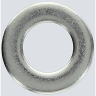Hríbová skrutka M10x20 mm DIN 603 V2A