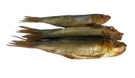 SALAKA (BALTSKÝ SLEĎ) STUDENÁ ÚDENÁ RYBA 300+/-20g k pivu