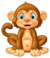 NÁLEPKA NA OKNO SKLENÉ ZRKADLO MONKEY MONKEY