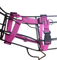 Postroj Guard Sunka Basic I pre psov M-L