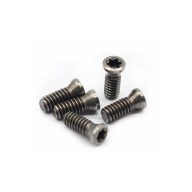 SKRUTKA M6x25