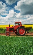 škôlka uterák na ruky TRACTOR TRACTOR 30X50