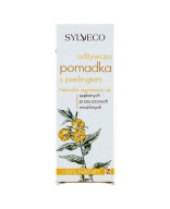 SYLVECO Výživný rúž s peelingom - 4,6 g