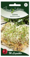 Semienka lucerny na klíčky Legutko 20 g