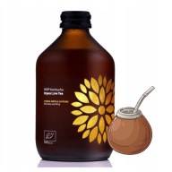 Kombucha Yerba maté + BIO kofeín 330ml Vigo herba