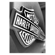 Nálepky A5 PION s logom Harley Davidson