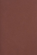 Farebný doskový papier Bristol 250g bordový - 10SRA3
