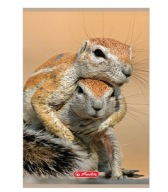32-listový štvorčekový zošit A4 Animals Gophers