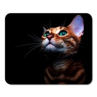 Podložka pod myš s mačkou, CATS