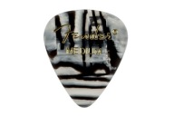 FENDER Zebra Stredný výber z GITAROWNIA_PL