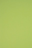 Farebný papier Bristol 230g R74 zelený - 10A3