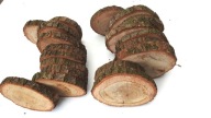 DREVA DREVA, STOPKA, DUB, 10-14 CM, 1 KS