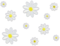 NAŽEHLOVAČKY Nášivky na oblečenie DAISIES Jarné kvety Narodeniny 10 ks.
