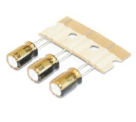 AUDIOPHIL NICHICON FG (Fine Gold) 100uF/16V - 3 ks (#650)