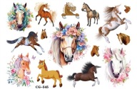 Odnímateľné tetovanie pre deti HORSES CG545