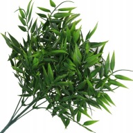 RUSCUS BOUQUET HRUBÉ KONÁRE ZELENÝ PRÍDAJ DO KYTICOVÝCH KRÉMOV